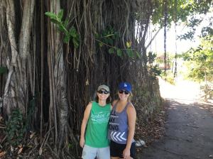 eb6e6634-bd2e-4999-a770-e2245e04760e