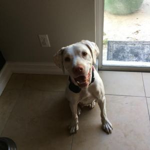 e22bd8ce-5ab9-4bc6-be72-a6d017841d56