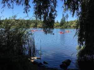 002038c2-397f-4024-8156-cba91bf30991