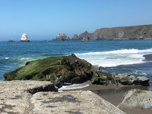 f007a667-6053-4e43-8621-d682aef29b97