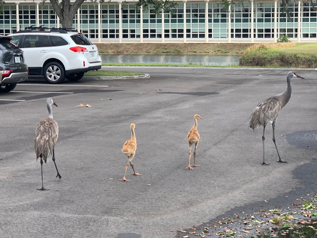 It’s In The&nbsp;Genes