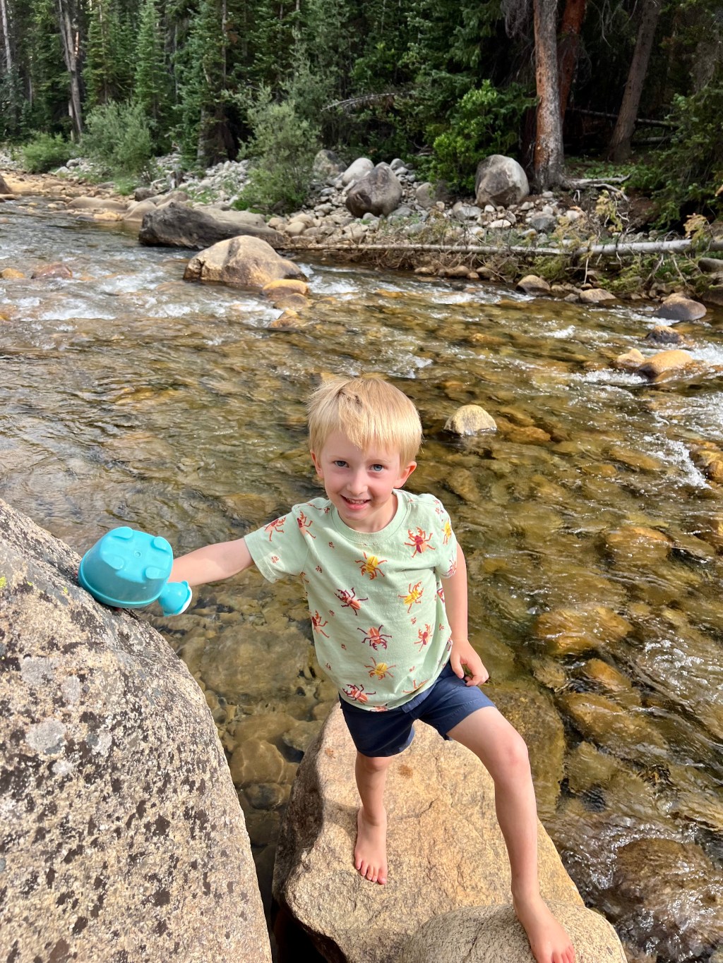 The Apple And The&nbsp;Tree