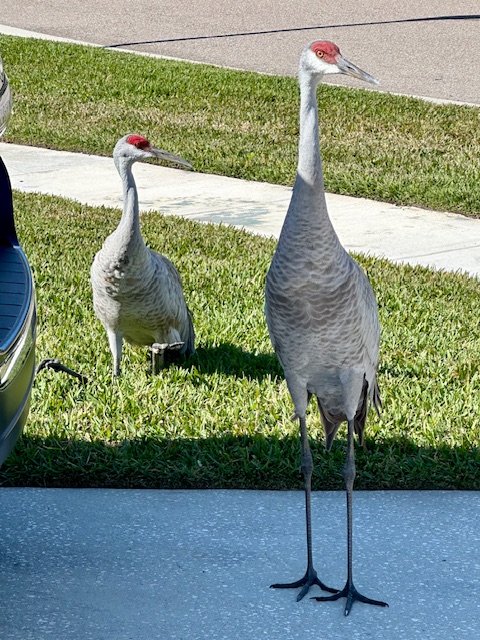 Who’s There For&nbsp;Me?