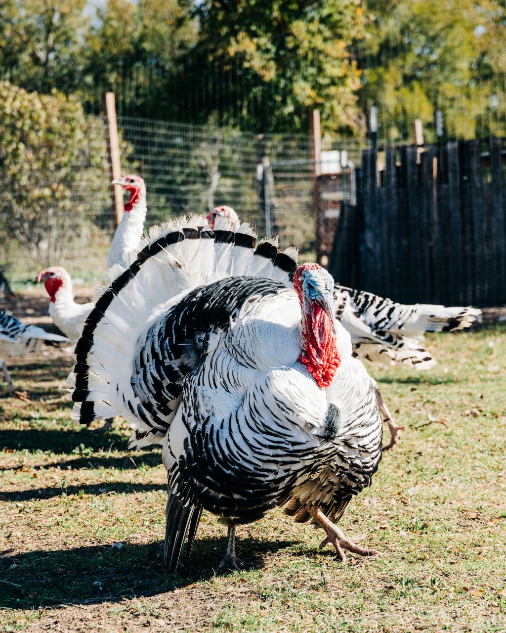 Lavish And Luxurious