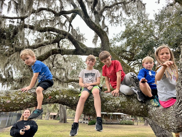 When You’re Up A&nbsp;Tree