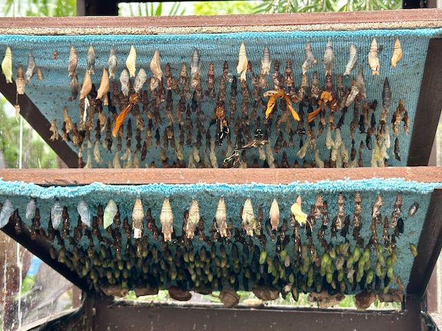 What Does Change Mean?