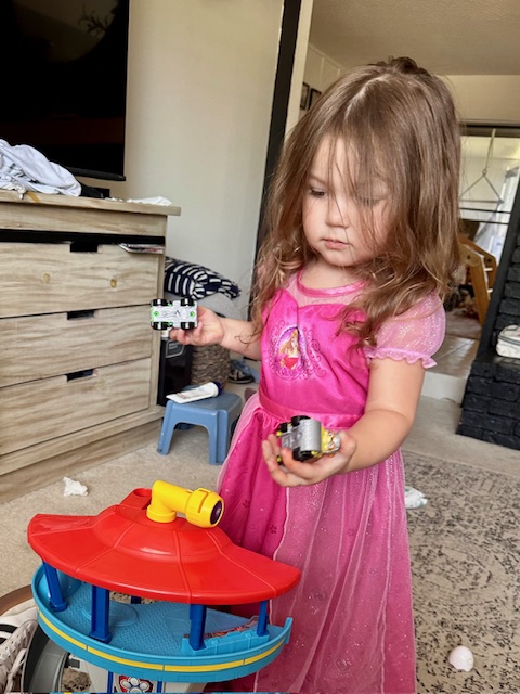 The Princess And Her&nbsp;Cars