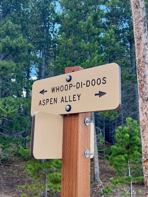 Hither–Thither–Yon